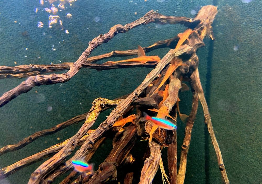 Alle Produkte — AQUA TECK