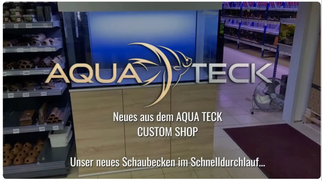 QUA TECK Custom Shop – Blick in den Showroom mit großem beleuchtetem Schauaquarium und dem AQUA TECK Logo, Neues aus dem AQUA TECK Custom Shop
