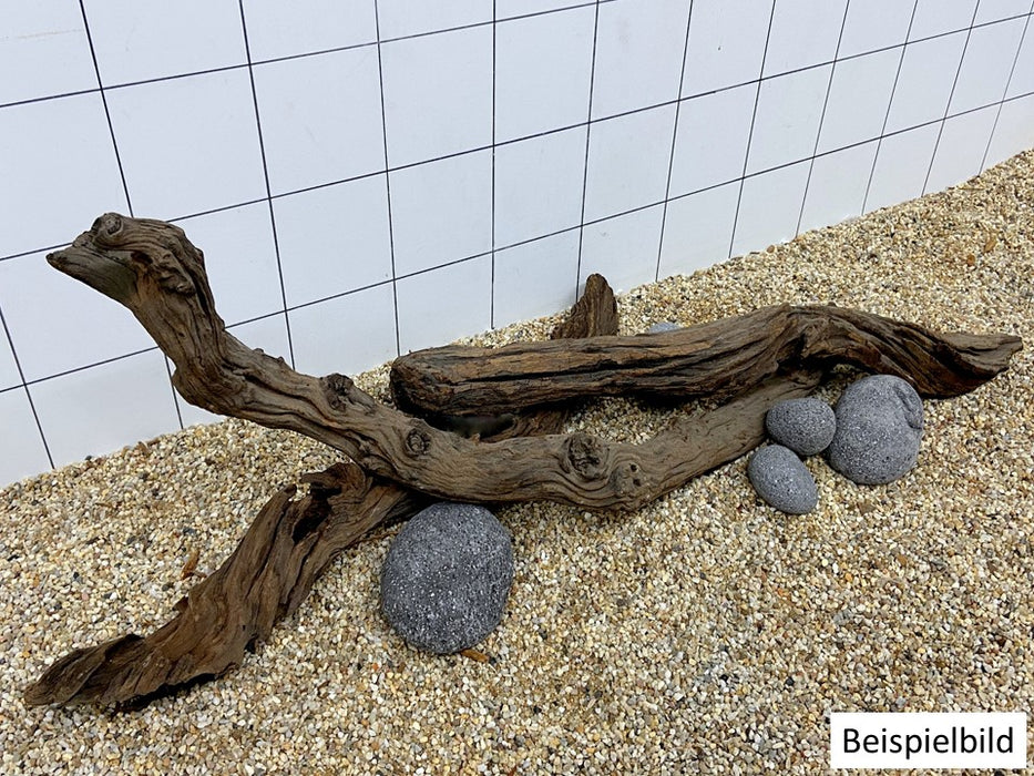 52552F Flussholz / Driftwood