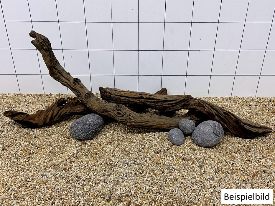 52552F Flussholz / Driftwood