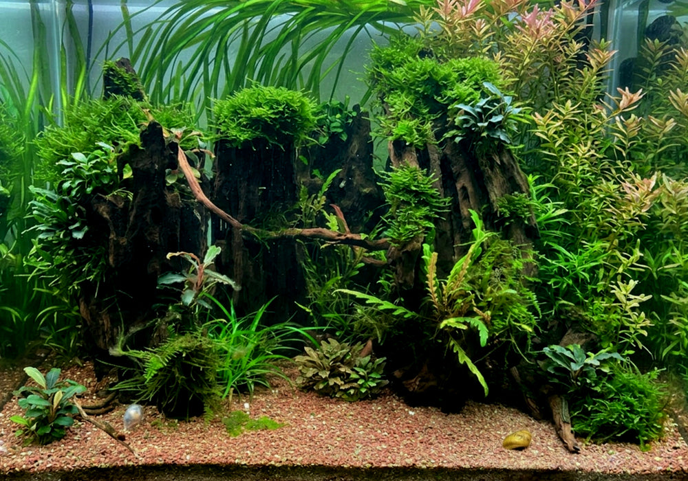 Naturkies Fluss-Sand Dunkel