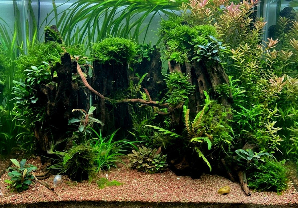 Naturkies Fluss-Sand Dunkel
