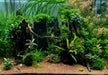 Naturkies Fluss-Sand Dunkel
