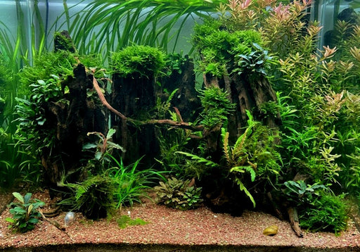 Naturkies Fluss-Sand Dunkel
