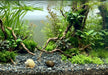 Naturkiesmischung Kongo (2-8 mm) 