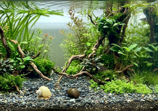 Naturkiesmischung Kongo (2-8 mm) 