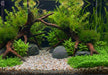 Naturkies Malibu Mix (1-2 mm)