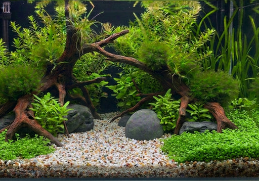 Naturkies Malibu Mix (1-2 mm)