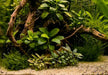 Naturkies Rio Negro (0-2 mm) 