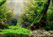 Naturkies Rio Negro (5-8 mm)