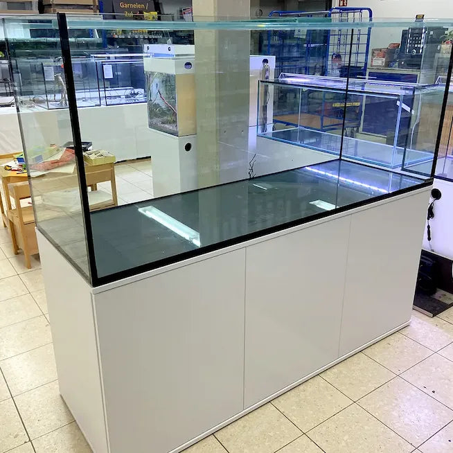 Großes Aquarium nach Maß aus Glas mit weißem Unterschrank im Aquaristik-Fachgeschäft