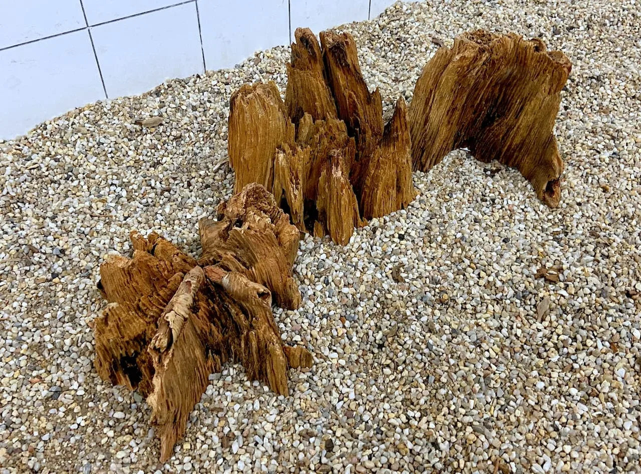 Mehrere Xingu-Wurzeln aus Holz auf Kies vor Fliesenwand als Aquariendekoration