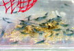 Blue Jelly Garnele - Neocaridina davidi