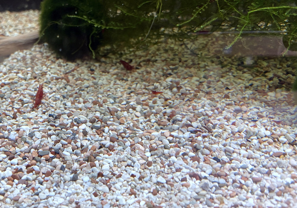 Naturkies Malibu Mix (1-2 mm)