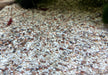 Naturkies Malibu Mix (1-2 mm)