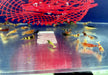 Caridina-Mix - Caridina sp.