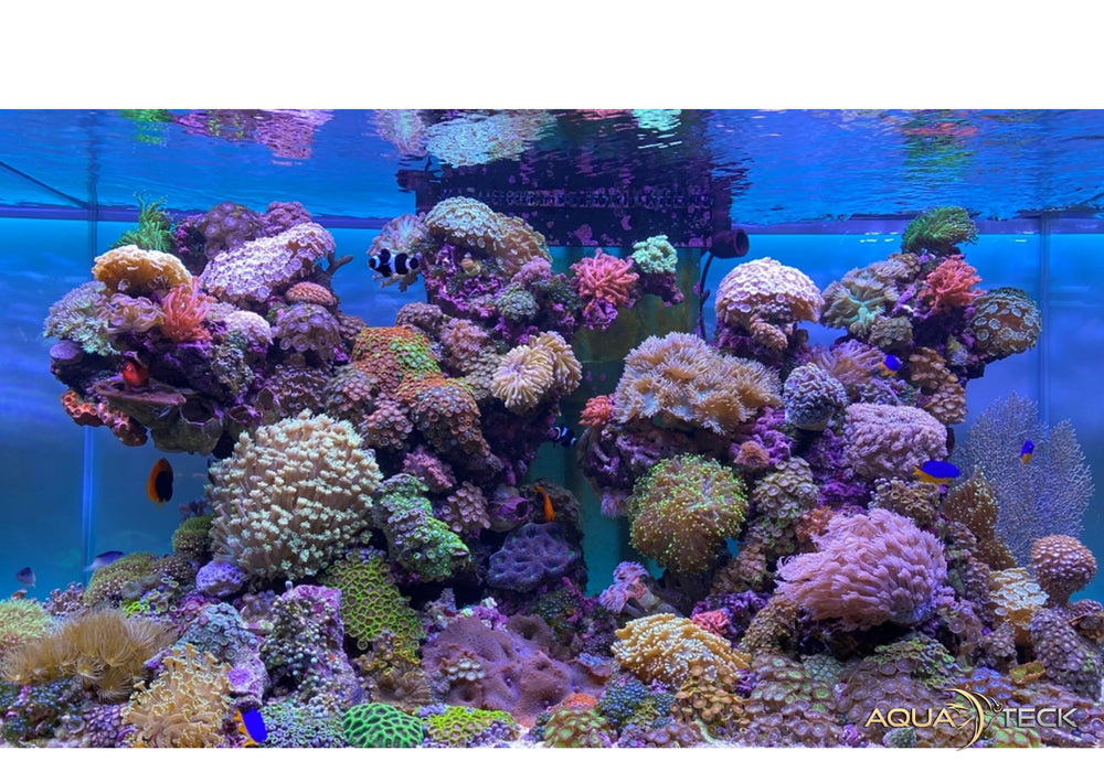 Daytime matrix PRO-Modul SunLike-Marine 1: SLM11