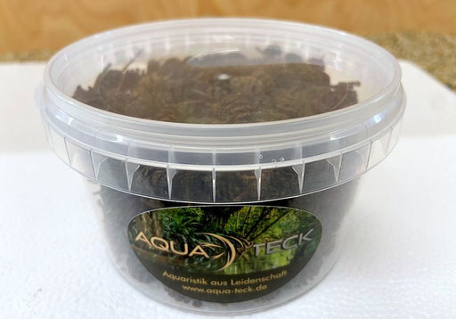 Erlenzäpfchen 100g - ca. 250 St. aqua-teck