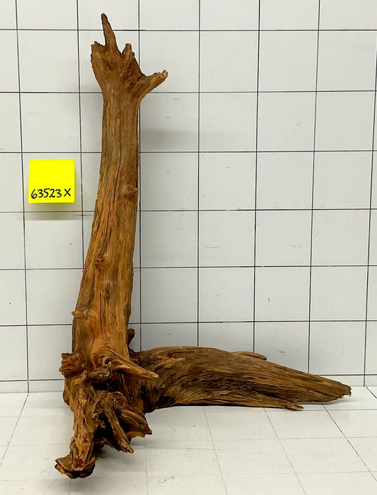 63523X - XINGU Wood Wurzelholz mit geschnittener Grundfläche