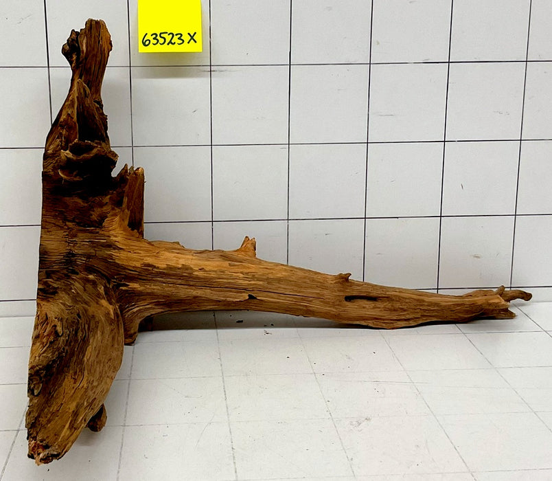 63523X - XINGU Wood Wurzelholz mit geschnittener Grundfläche