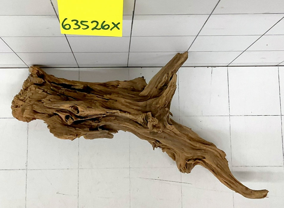 63526X - XINGU Wood Wurzelholz