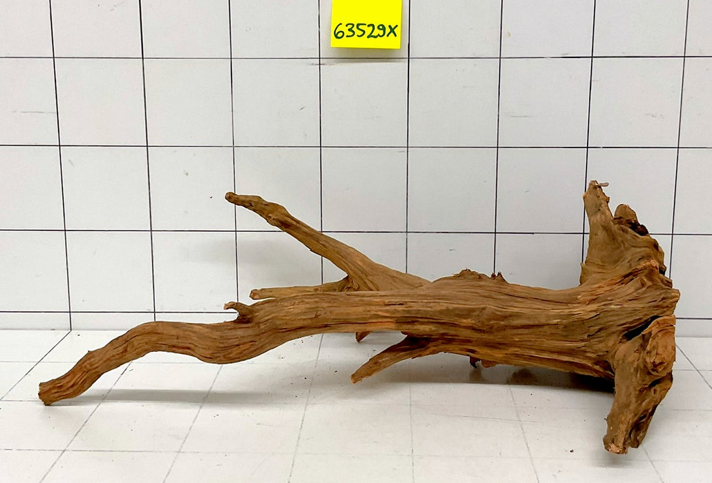 63529X - XINGU Wood Wurzelholz mit geschnittener Grundfläche
