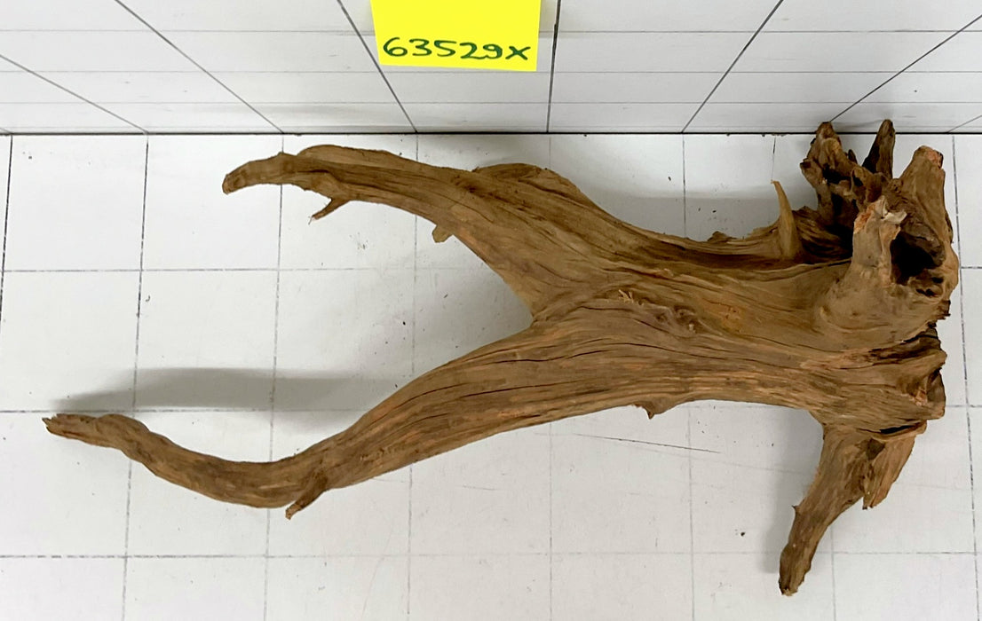 63529X - XINGU Wood Wurzelholz mit geschnittener Grundfläche