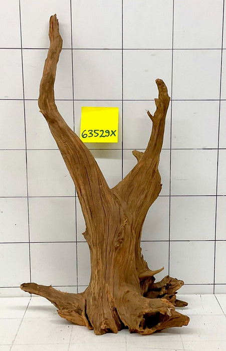 63529X - XINGU Wood Wurzelholz mit geschnittener Grundfläche