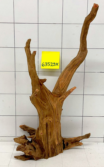 63529X - XINGU Wood Wurzelholz mit geschnittener Grundfläche