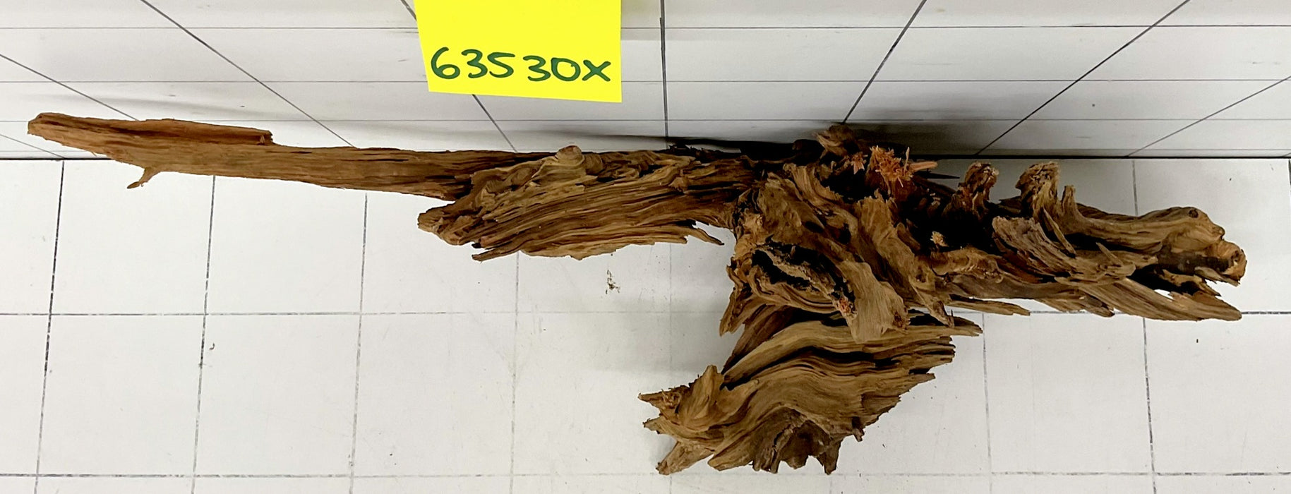 63530X - XINGU Wood Wurzelholz