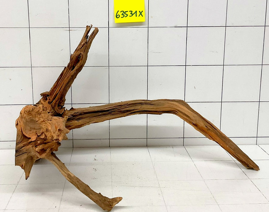 63531X - XINGU Wood Wurzelholz mit geschnittener Grundfläche