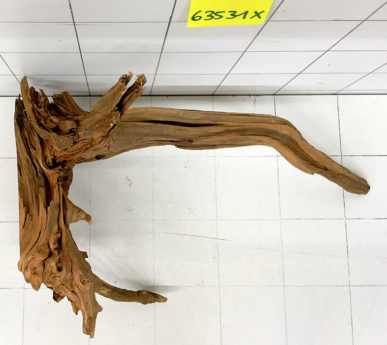 63531X - XINGU Wood Wurzelholz mit geschnittener Grundfläche