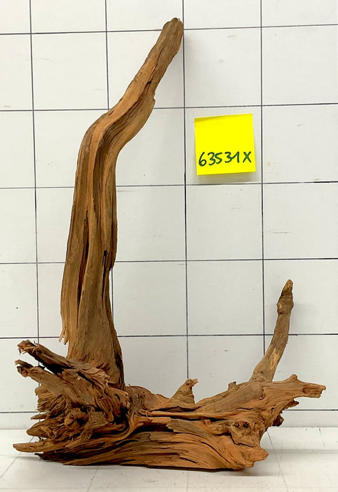 63531X - XINGU Wood Wurzelholz mit geschnittener Grundfläche