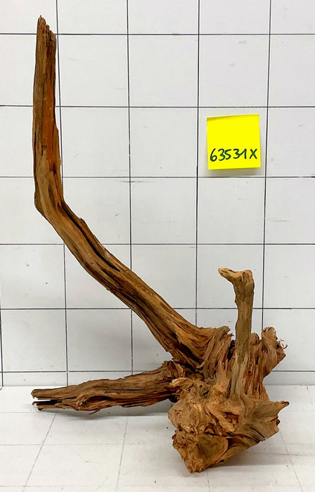 63531X - XINGU Wood Wurzelholz mit geschnittener Grundfläche