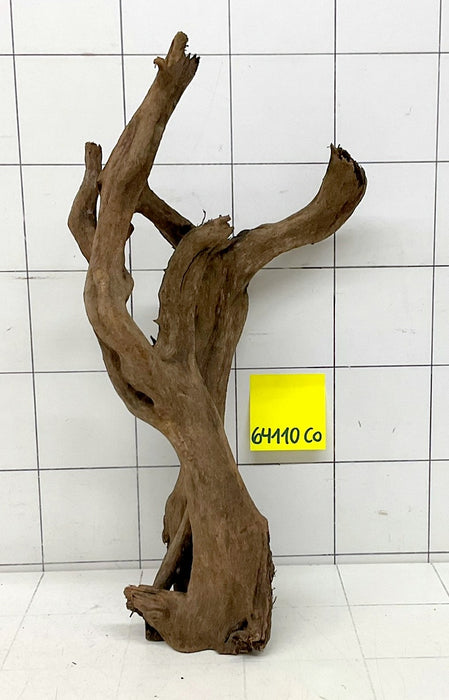 64110CO - Corbo Wurzel Holz