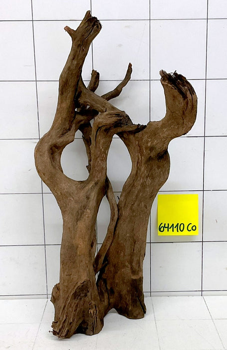64110CO - Corbo Wurzel Holz