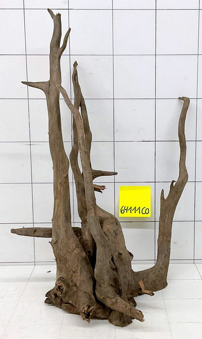 64111CO - Corbo Wurzel Holz