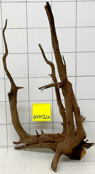 64112CO - Corbo Wurzel Holz