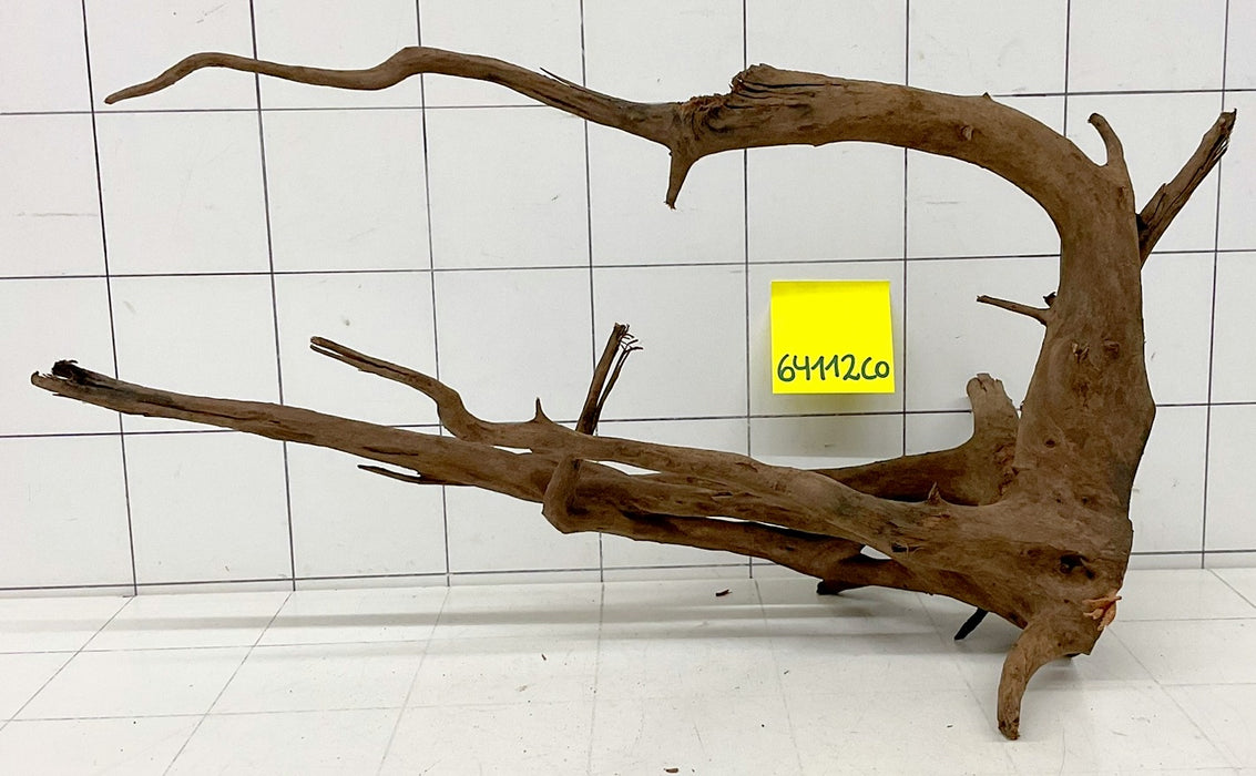 64112CO - Corbo Wurzel Holz