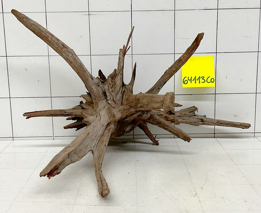 64113CO - Corbo Wurzel Holz
