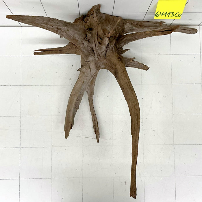 64113CO - Corbo Wurzel Holz