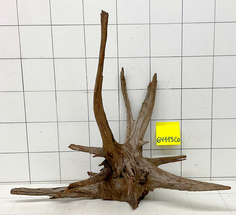 64113CO - Corbo Wurzel Holz