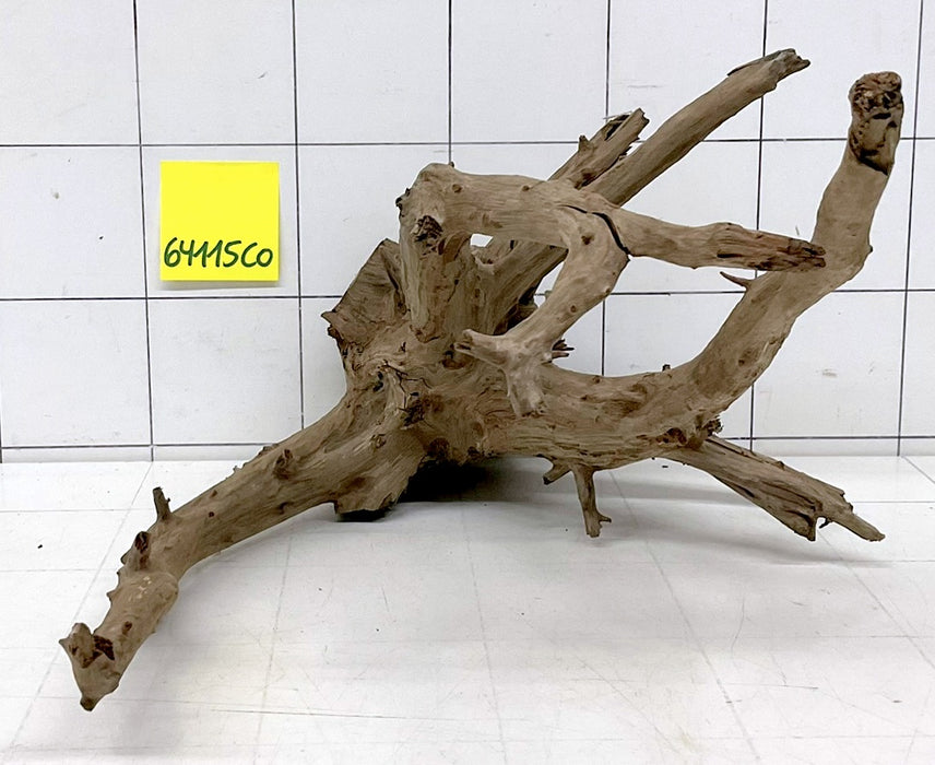 64115CO - Corbo Wurzel Holz