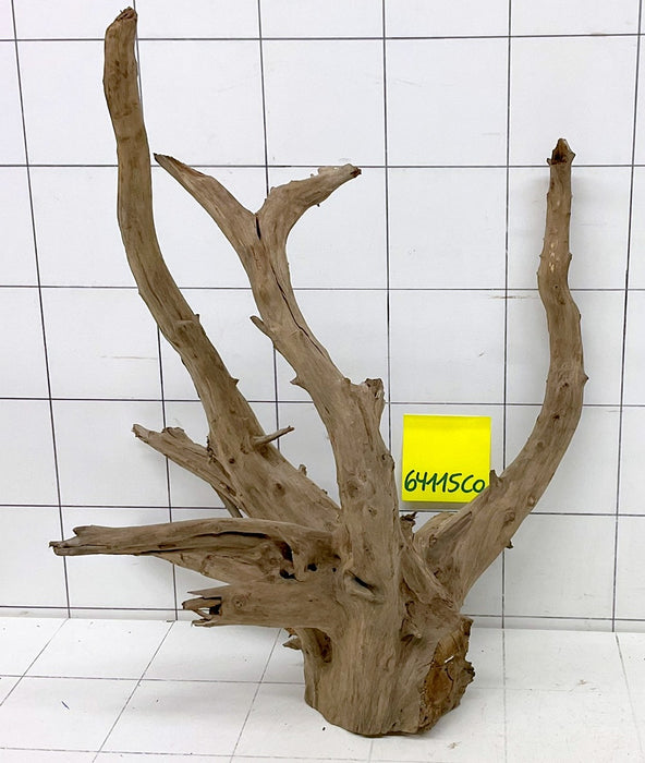 64115CO - Corbo Wurzel Holz