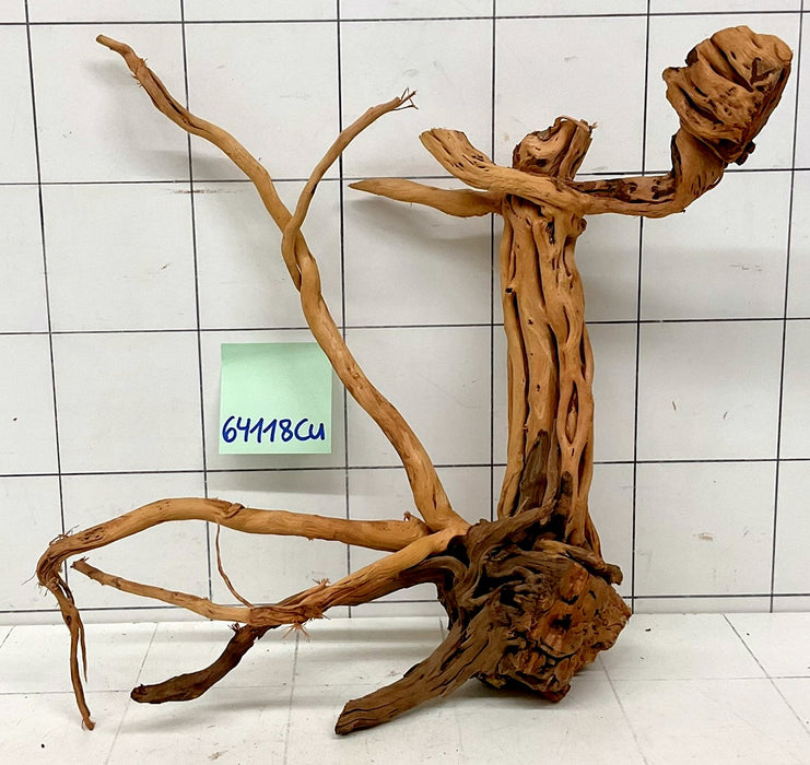 64118Cu - Curlwood Wurzel Holz