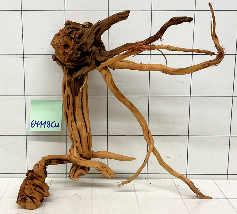 64118Cu - Curlwood Wurzel Holz