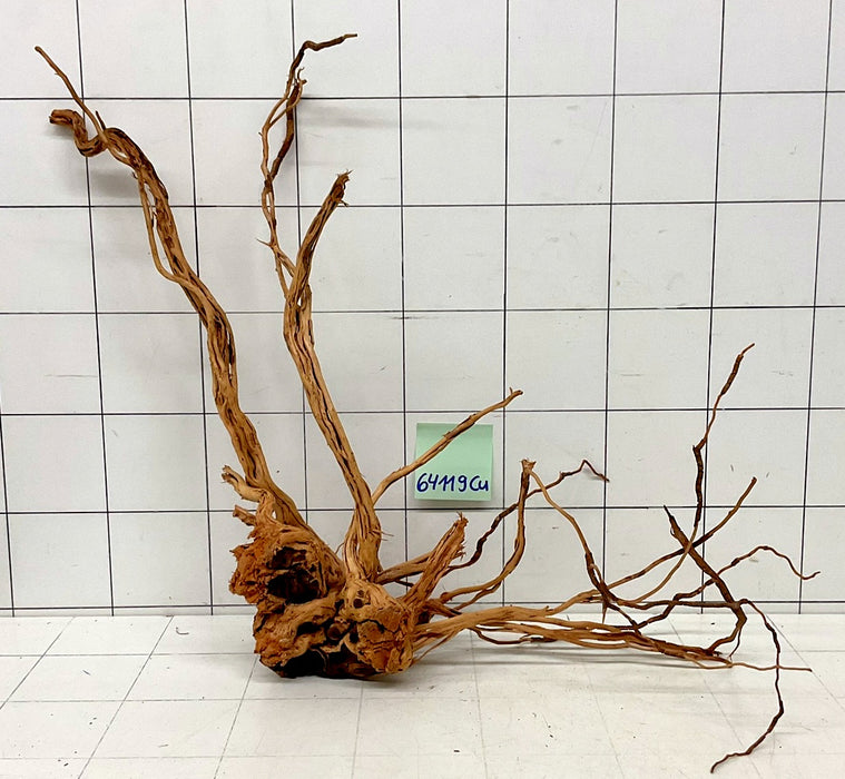 64119Cu - Curlwood Wurzel Holz