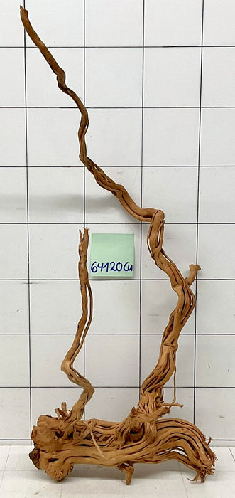 64120Cu - Curlwood Wurzel Holz