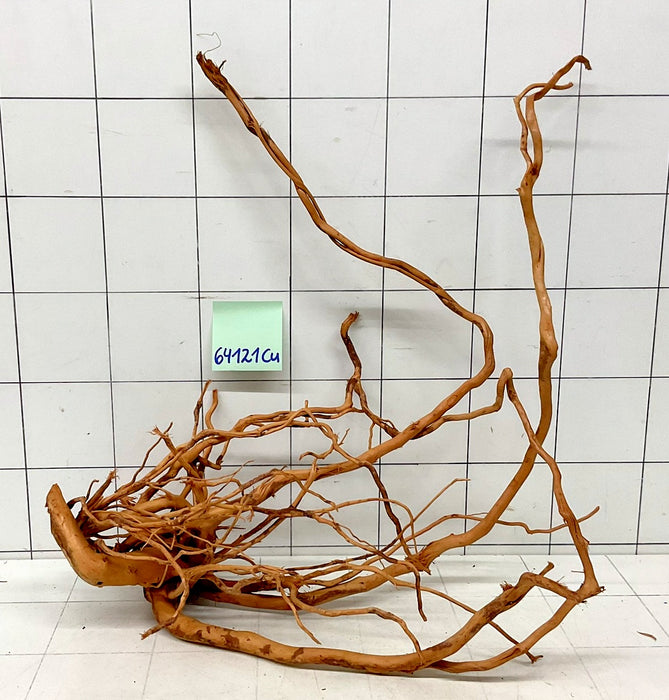 64121Cu - Curlwood Wurzel Holz