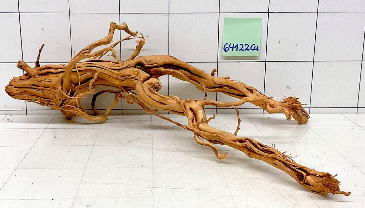 64122Cu - Curlwood Wurzel Holz